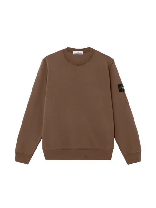 Stone Island Felpa girocollo in cotone biologico con maniche raglan Stone Island | L1S156100060S0051V007E